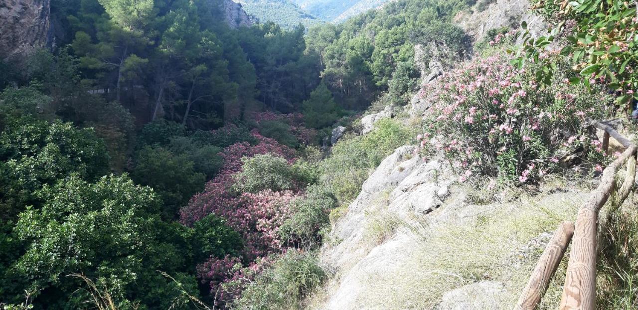 Hostal Rural De Cuadros Bedmar y Garciez Екстер'єр фото